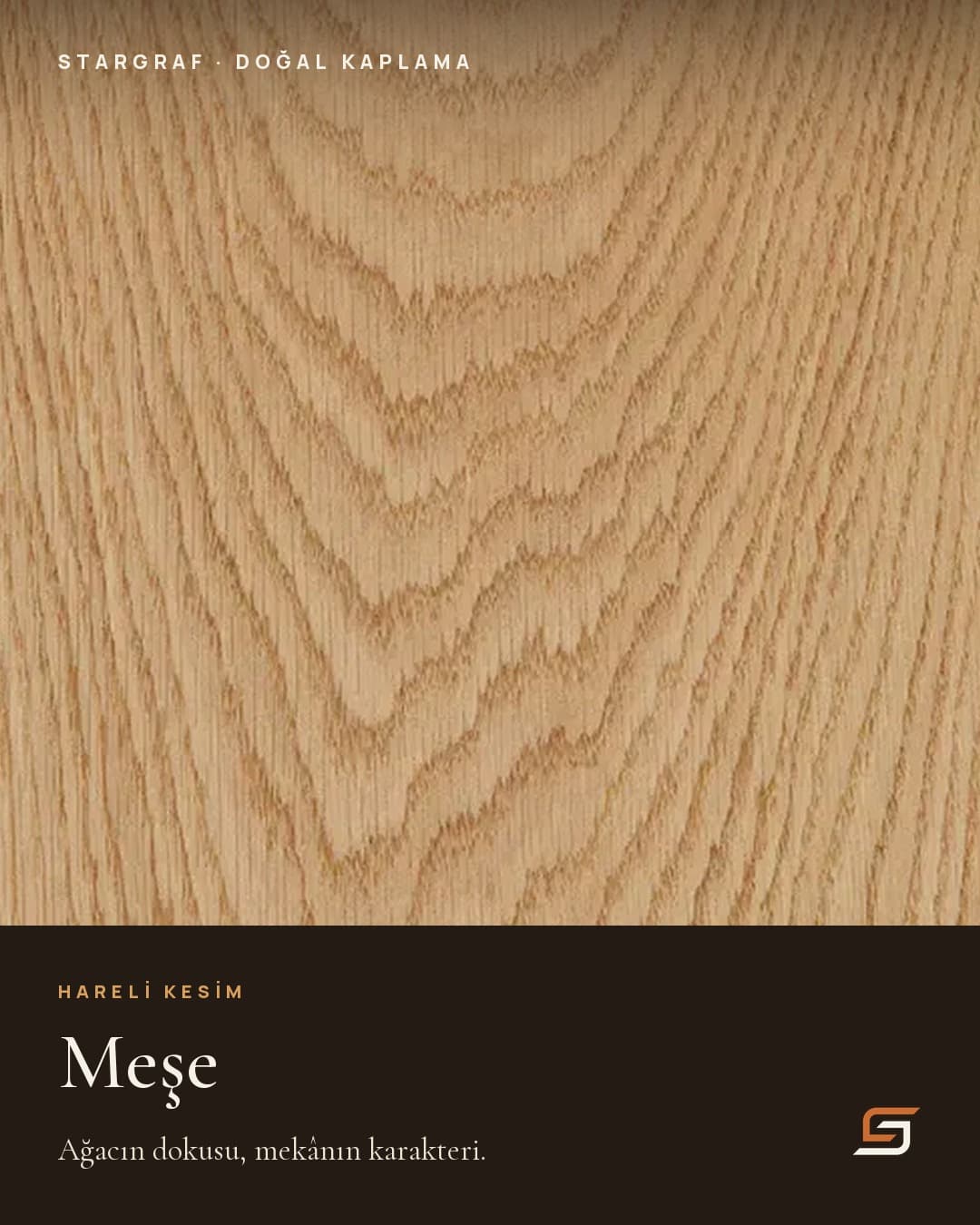Meşe — hareli kesim.