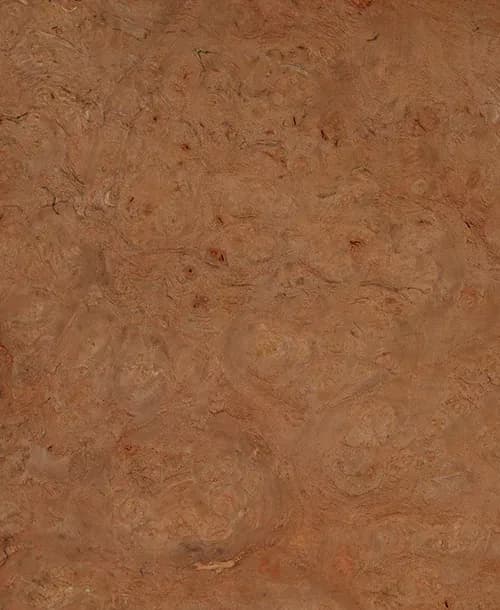 بوقيصا