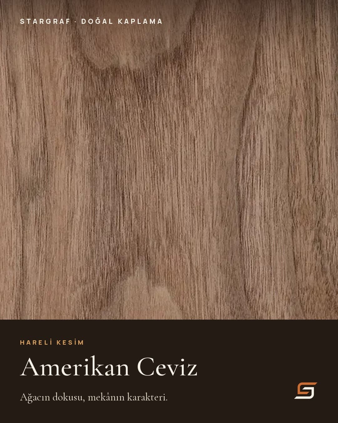 Amerikan Ceviz — hareli kesim.