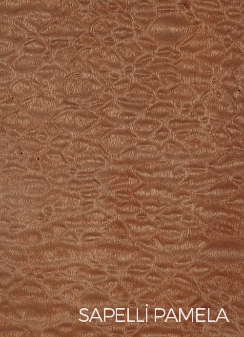 Sapelli Pamela