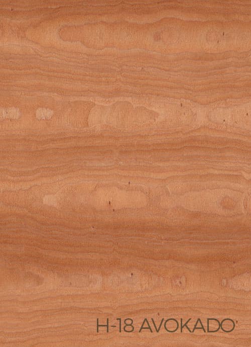 Avokado STR18