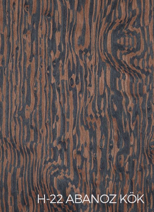 Abanoz Kök STR22