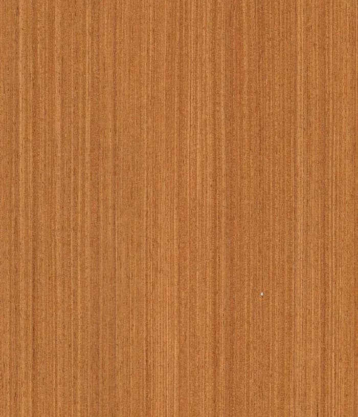 ساج STRO5