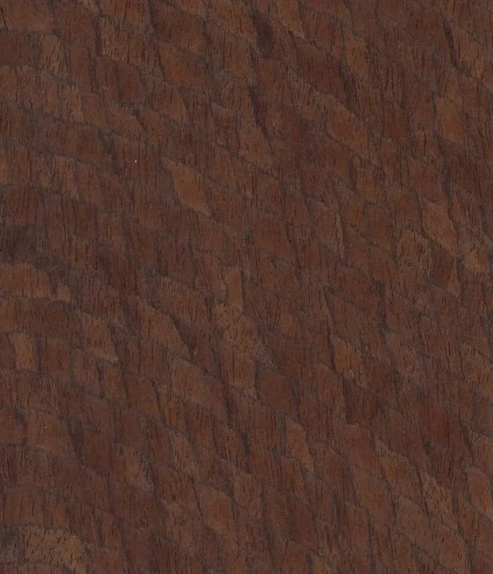 Mocha STRO8831