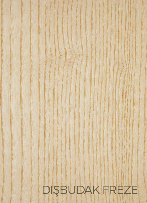 Dışbudak Freze