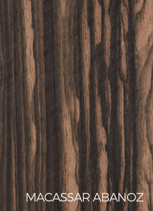 Macassar Abanoz