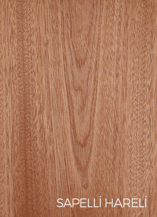 Sapelli