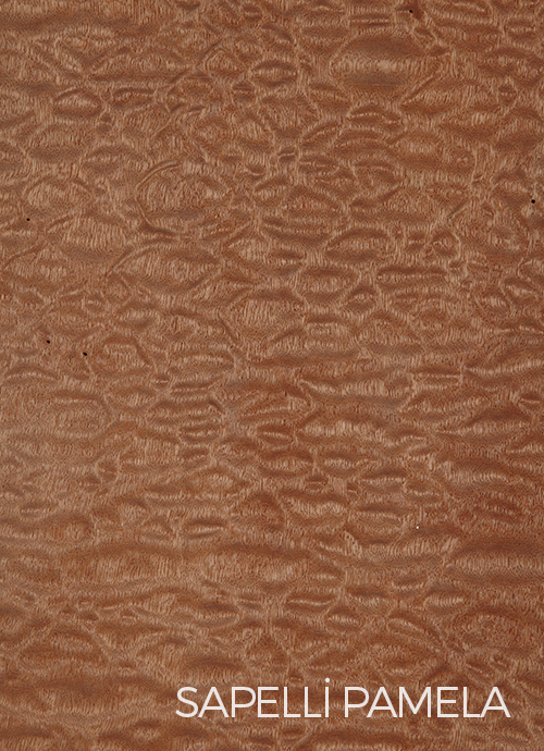Sapelli Pamela