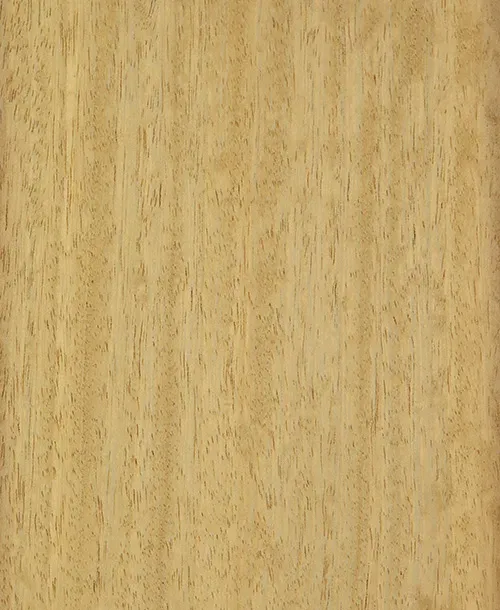 Iroko