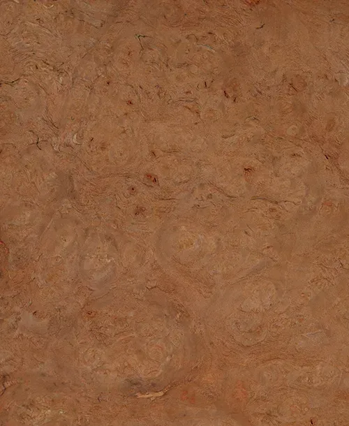 Karaağaç
