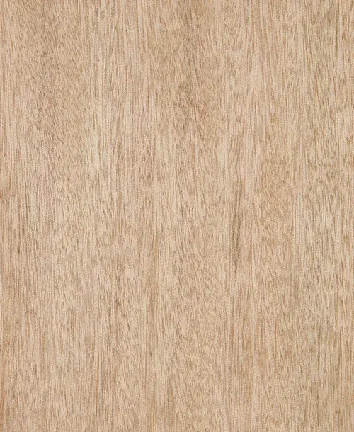 Ozigo
