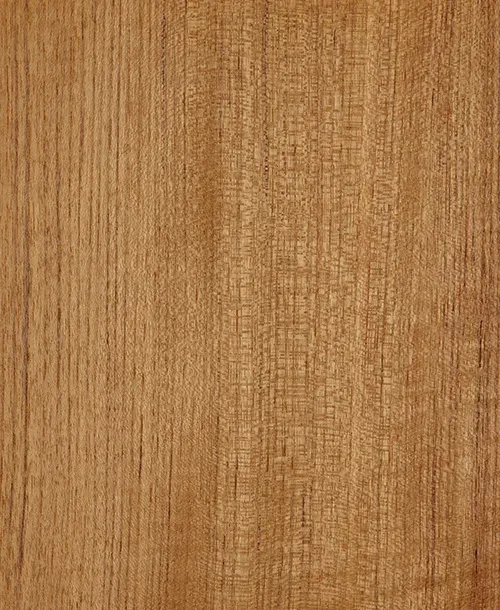 Teak Freze