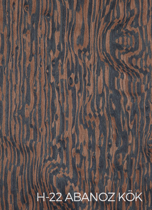 Abanoz Kök STR22