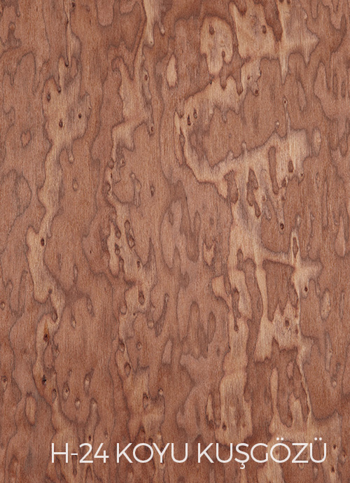 Koyu Kuşgözü STR24