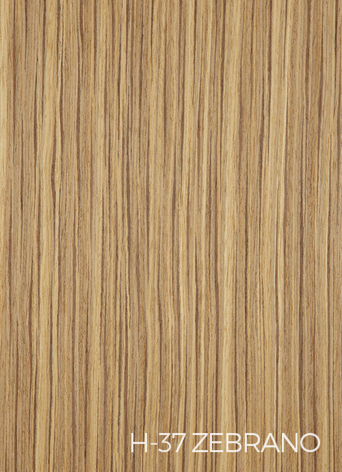 Zebrano STR37