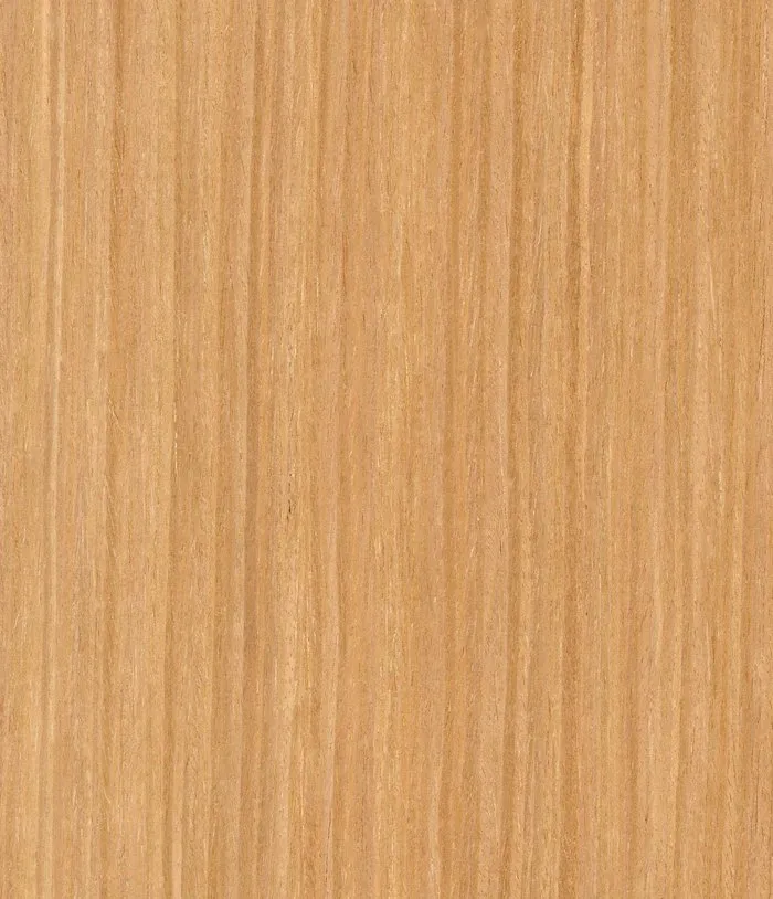Freze Meşe STRO2