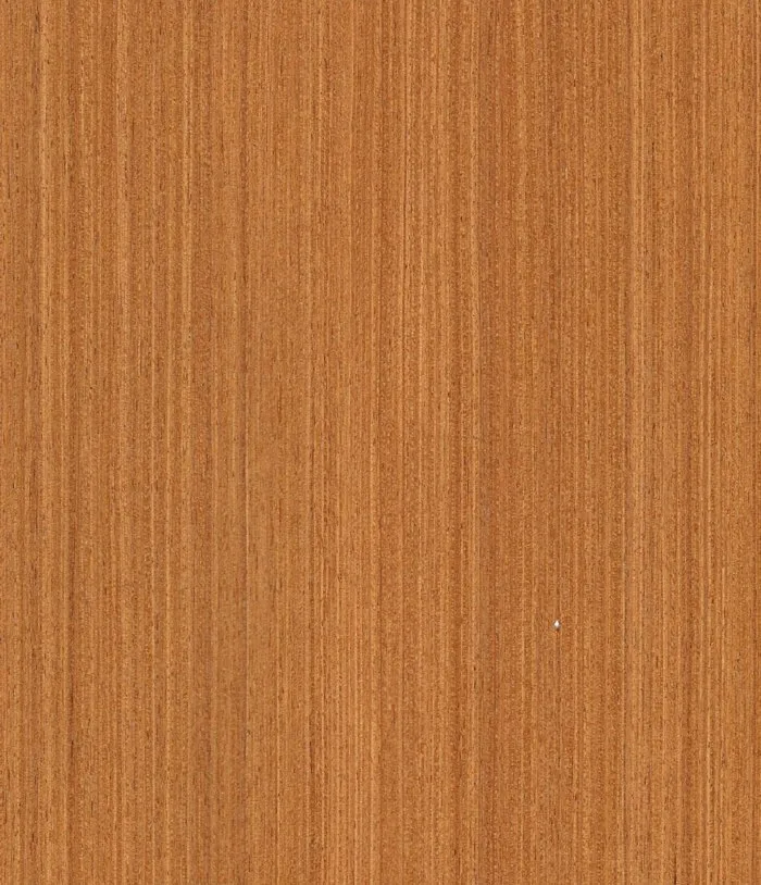 Teak STRO5