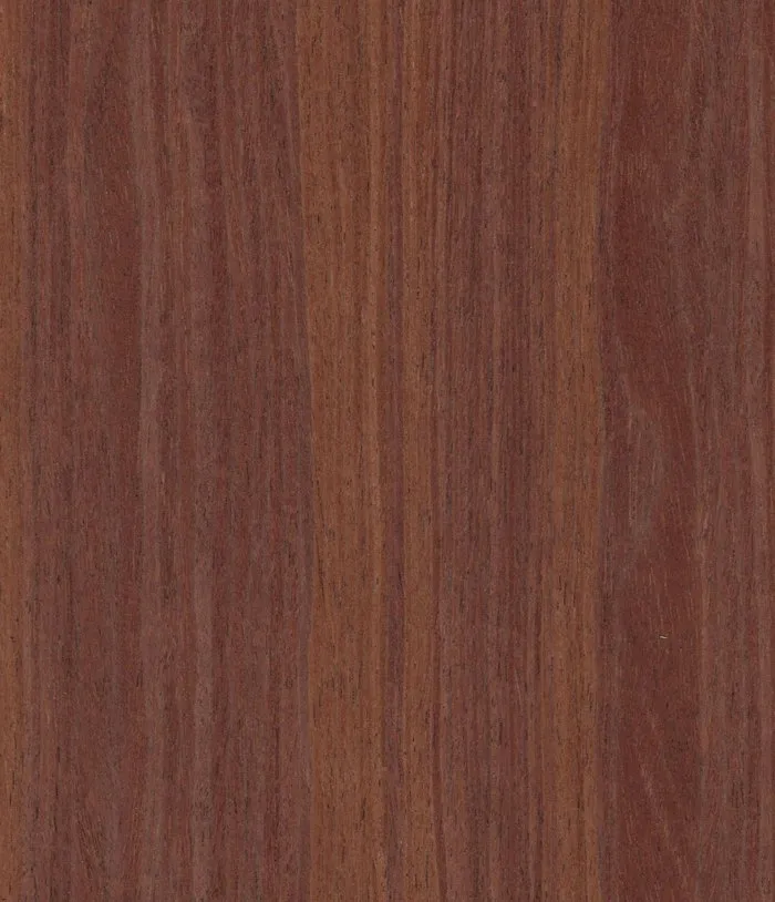 Kahve Meşe STRO8294