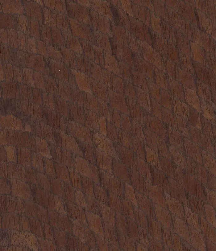 Mocha STRO8831