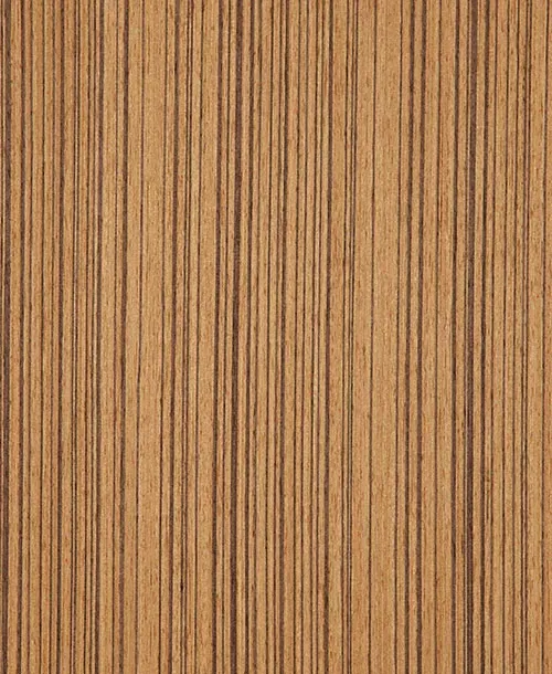 زيتون STR208